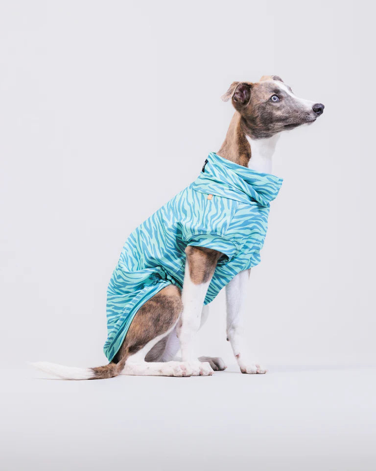 PAIKKA UV BUG SHIRT