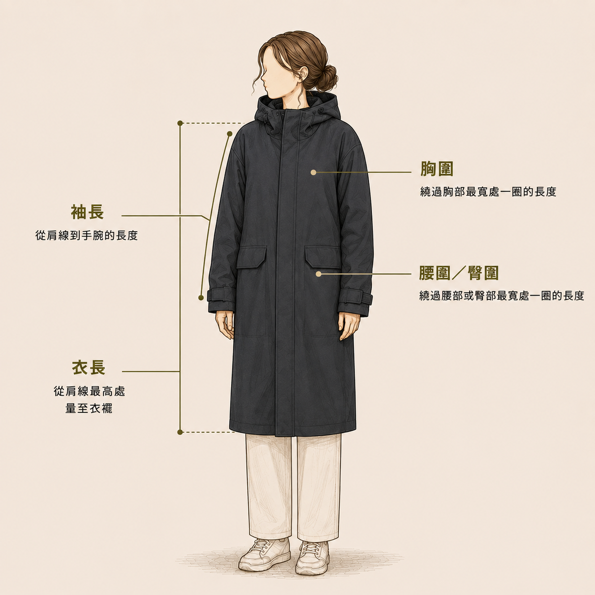 飼主尺寸量測總覽
