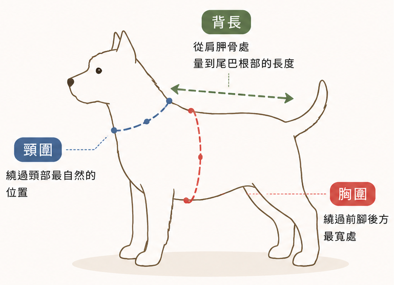 狗狗尺寸量測總覽