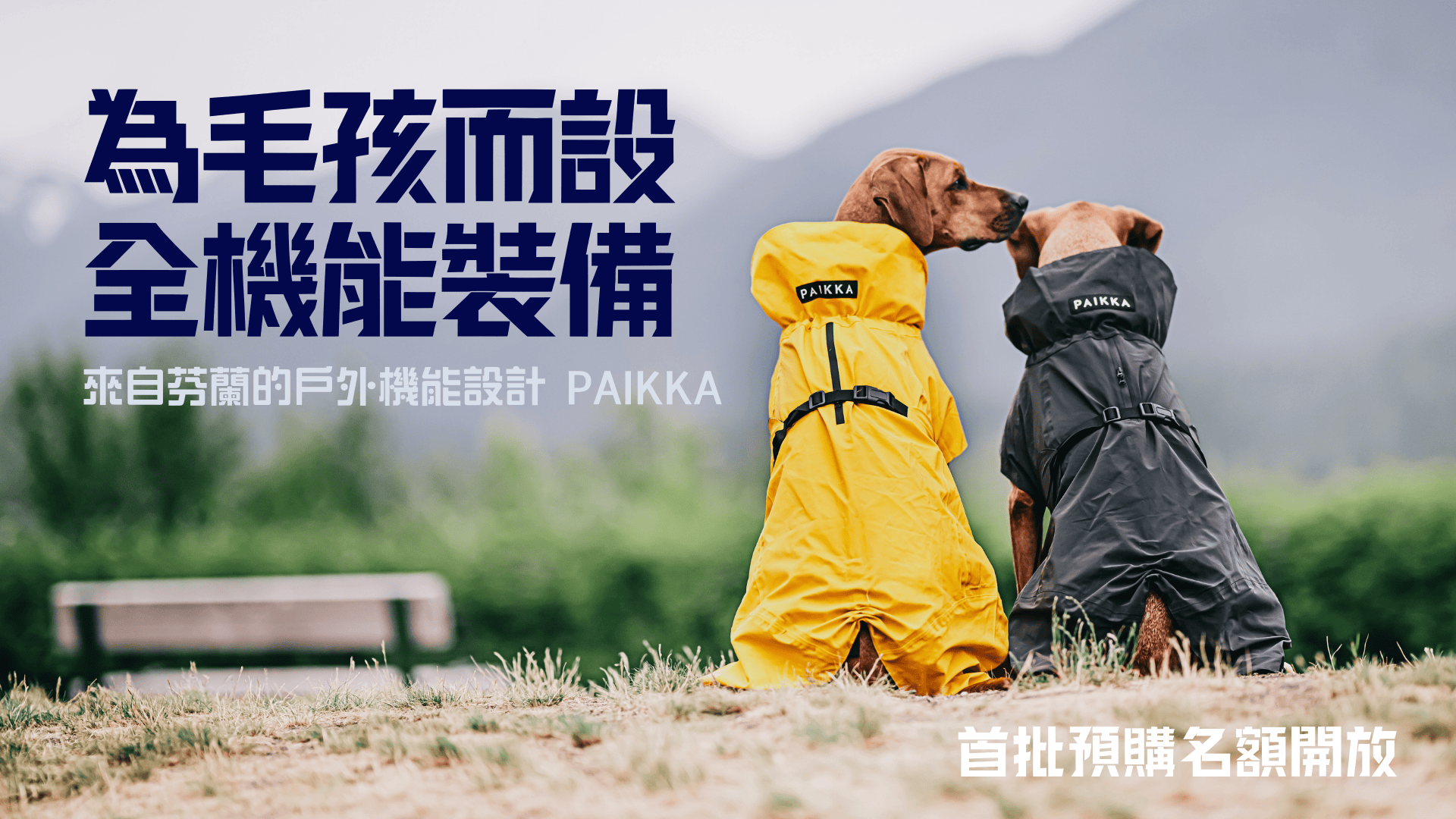 Paikka 台灣首發・限定優惠進行中