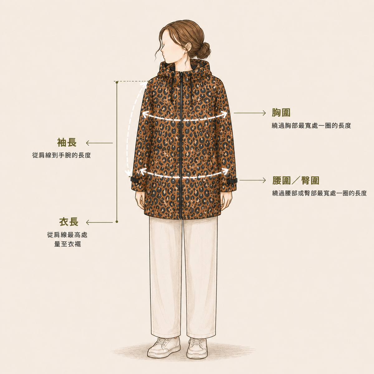 飼主尺寸量測總覽